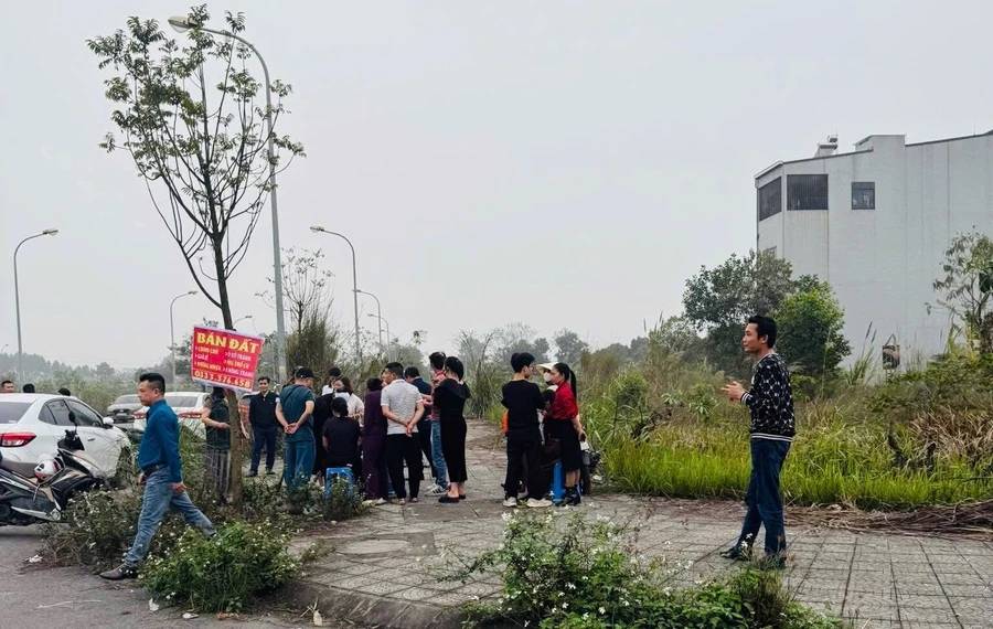 Đầu tư theo đám đông – Con đường nhanh nhất chôn vốn